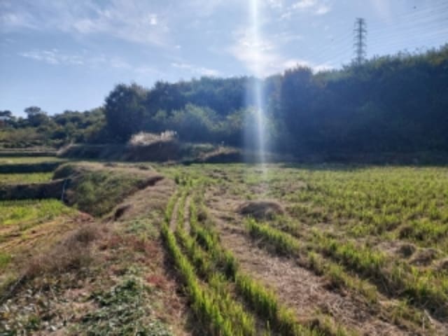B000285202401300045251.jpg