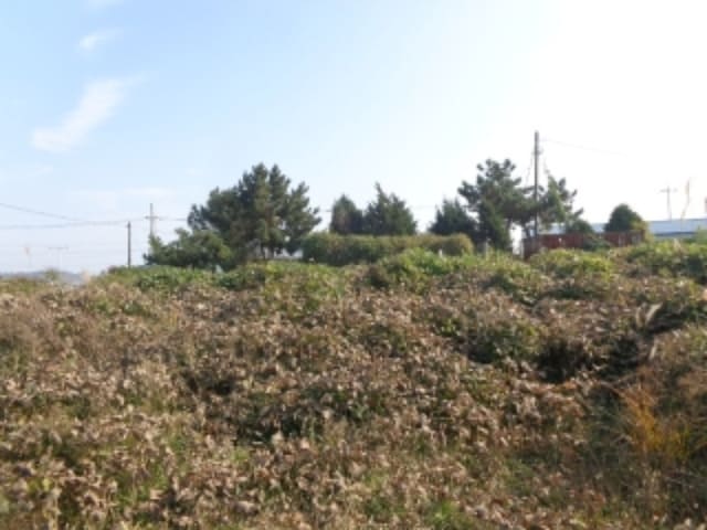 B000285202401300045494.jpg