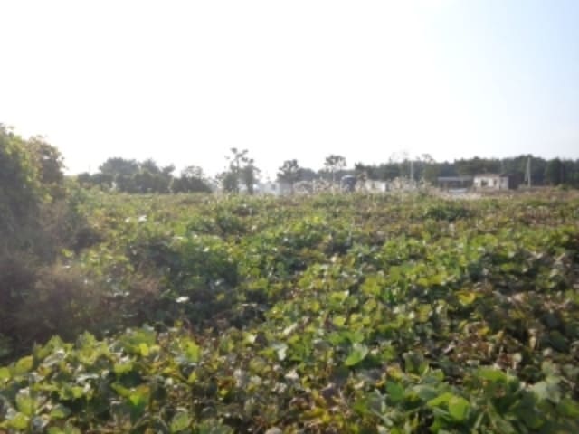 B000285202401300045493.jpg