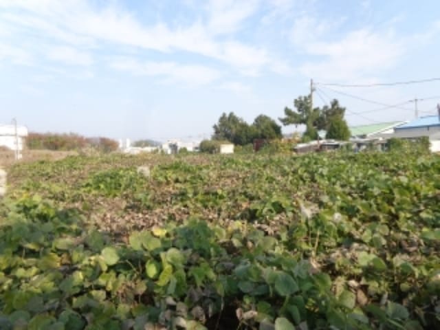 B000285202401300045491.jpg