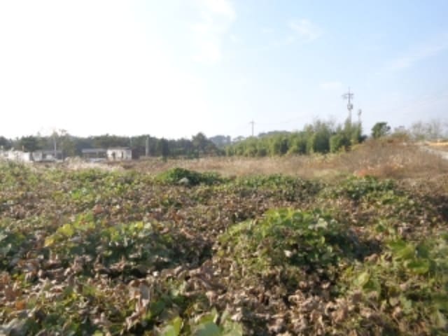 B000285202401300045492.jpg