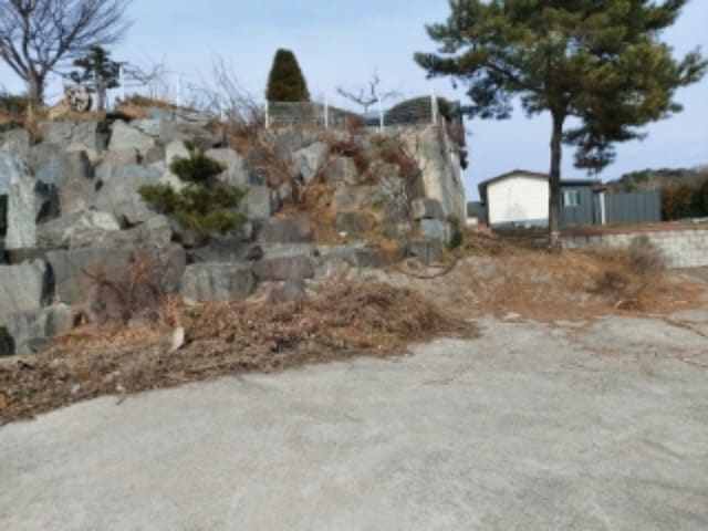 B000285202401300048772.jpg