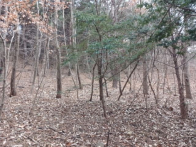 B000285202401300049073.jpg