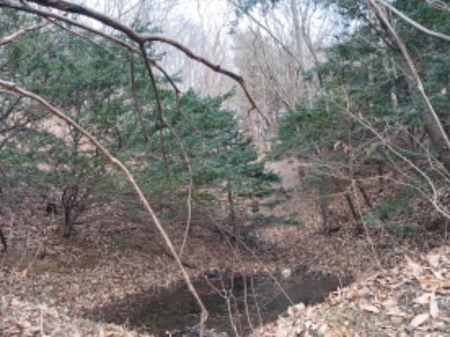 B000285202401300049072.jpg