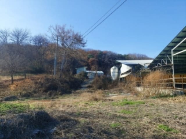 B000285202401300049693.jpg