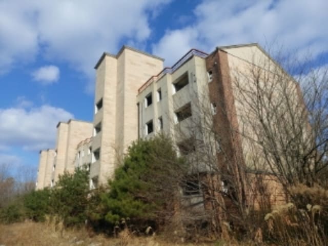 B000285202401300050162.jpg