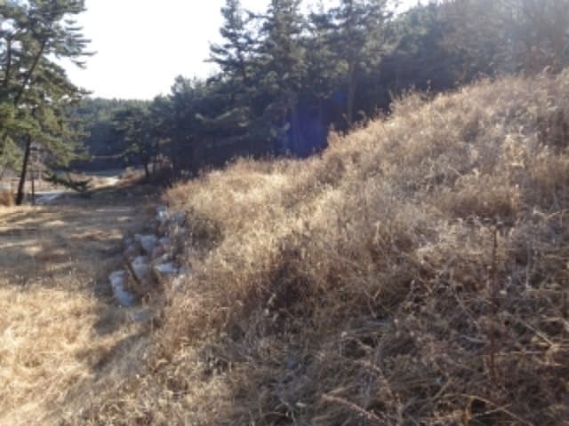 B000285202401300051912.jpg