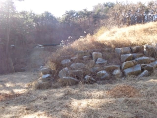 B000285202401300051913.jpg