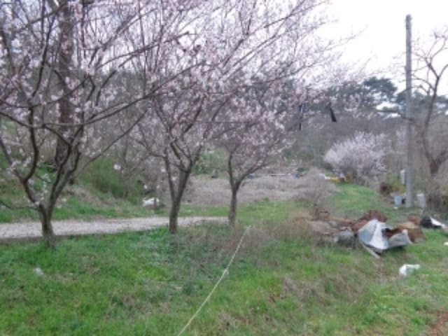 B000285202401300526853.jpg