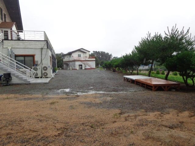 B000285202401300567934.jpg