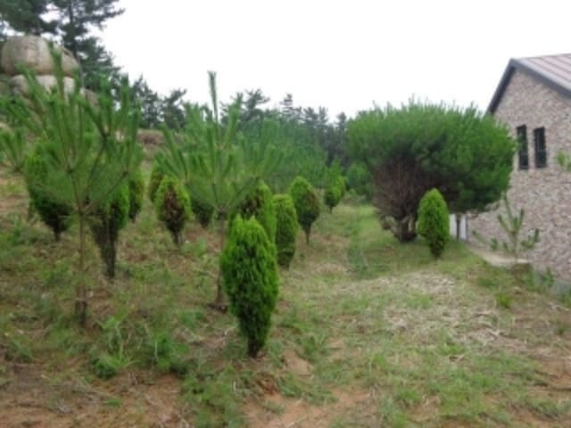 B000285202401300567931.jpg