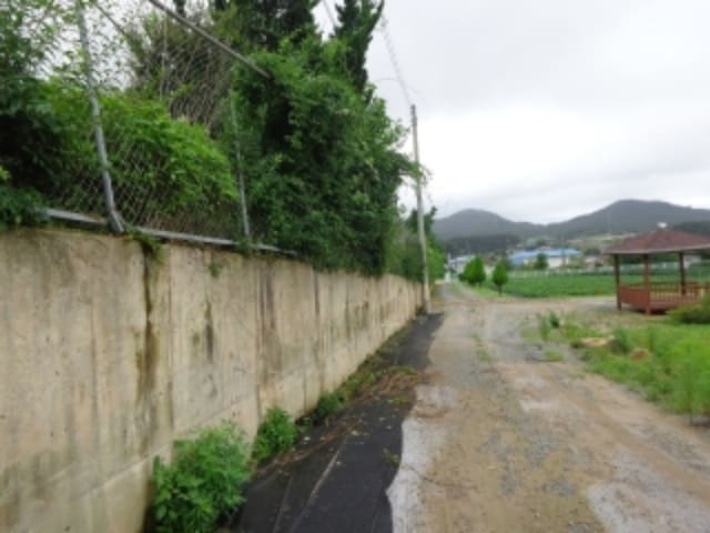 B000285202401300567933.jpg