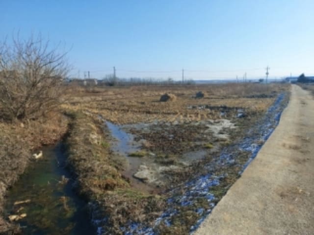 B000285202401300573522.jpg