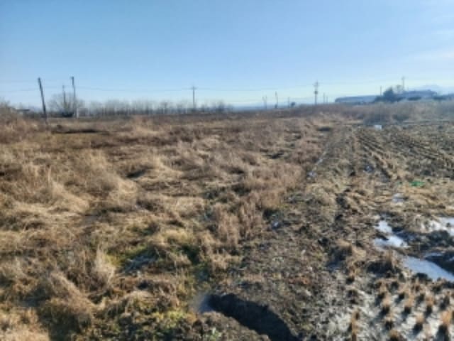 B000285202401300573524.jpg