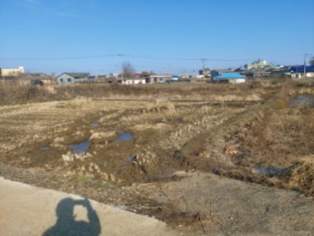 B000285202401300573521.jpg