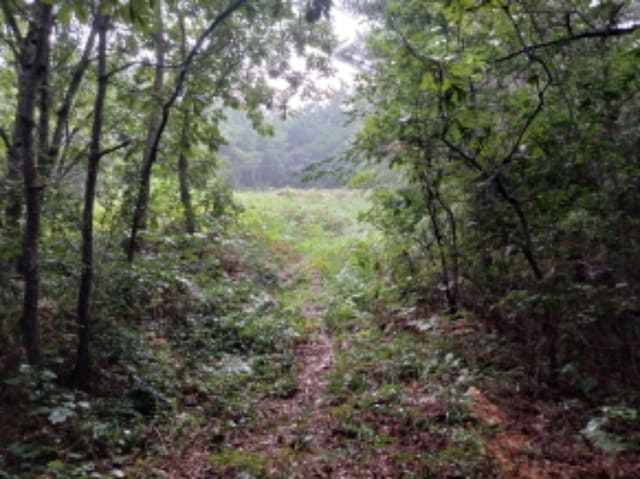 B000285202401300573904.jpg