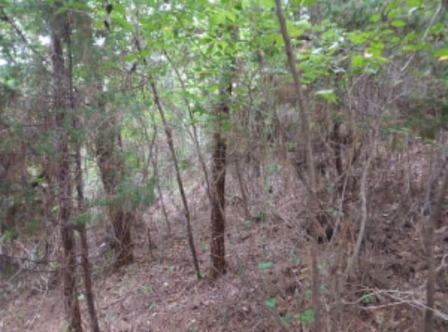 B000285202401300573906.jpg