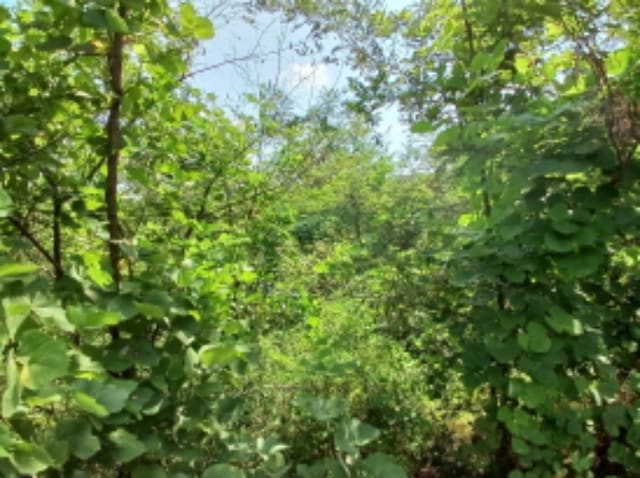 B000285202401300574131.jpg