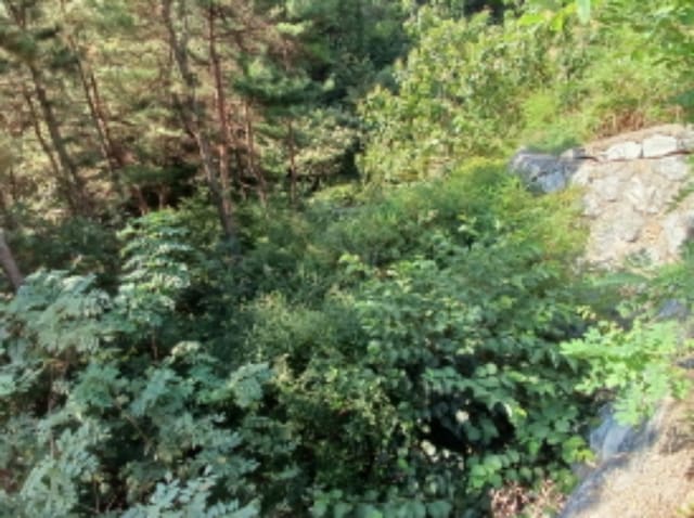 B000285202401300574132.jpg
