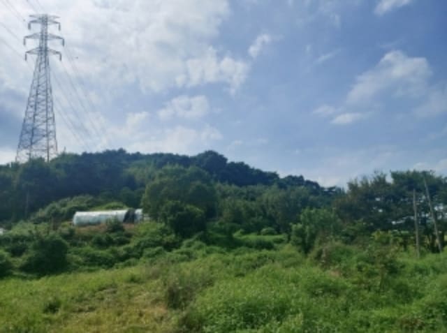 B000285202401300577583.jpg