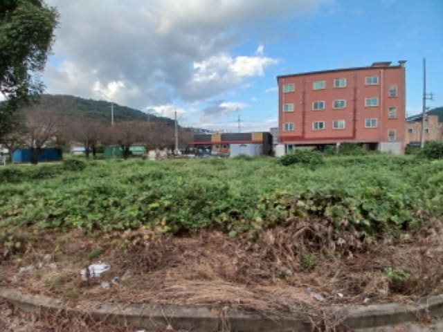 B000285202401300582632.jpg