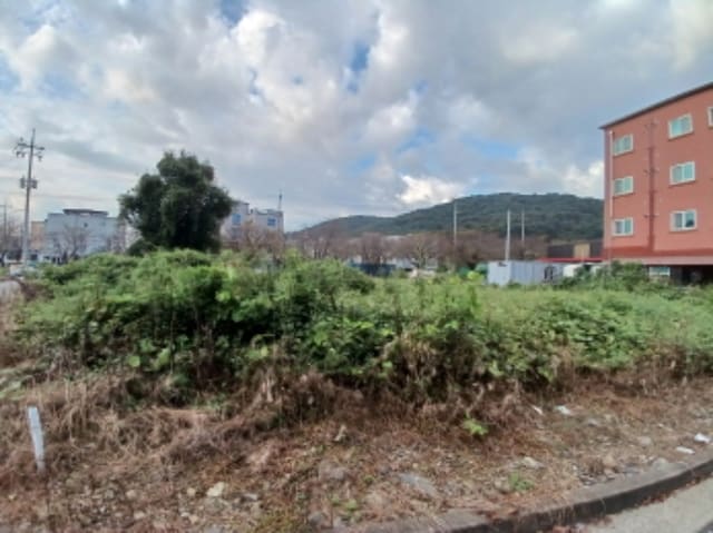 B000285202401300582631.jpg