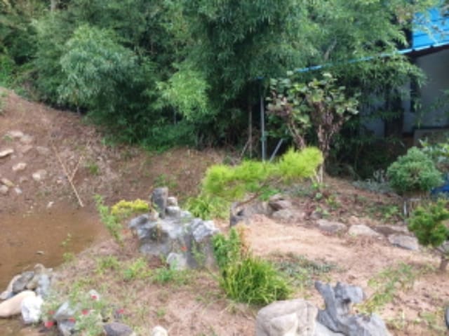 B000285202401300589282.jpg