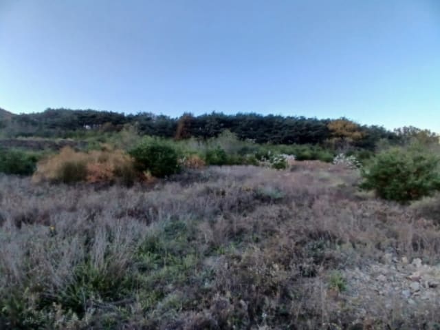 B000285202401300600371.jpg