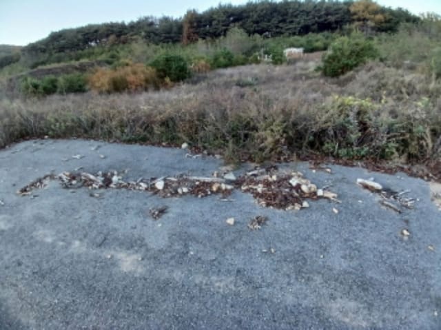 B000285202401300600374.jpg