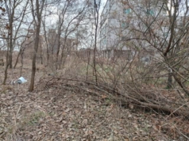 B000285202401300607091.jpg