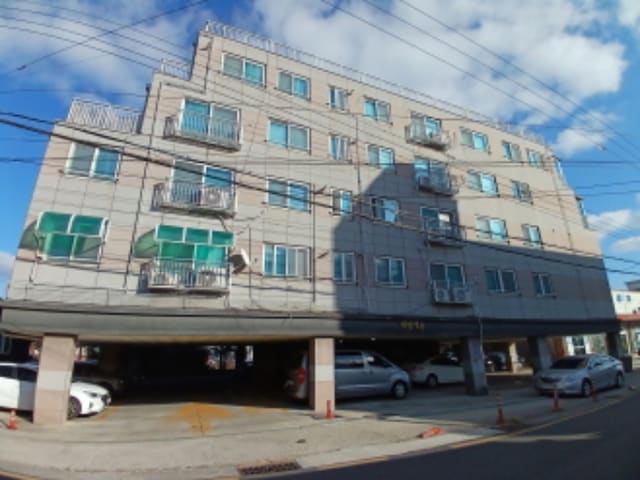 B000285202401300608772.jpg