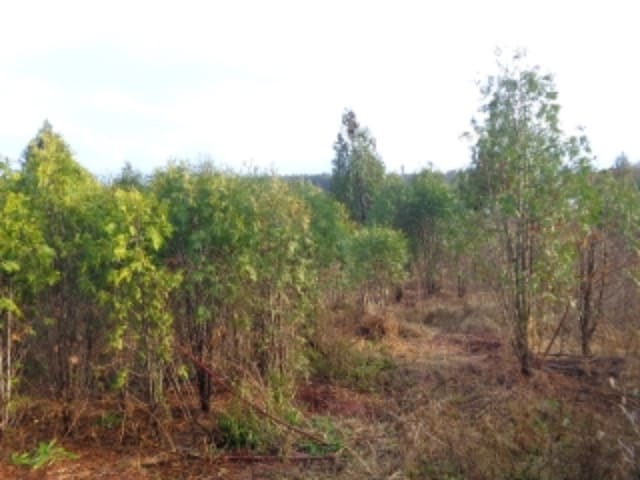 B000285202401300610304.jpg