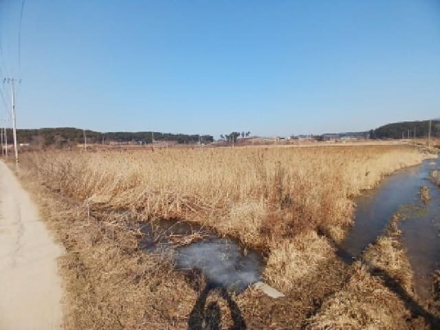 B000285202401300616581.jpg