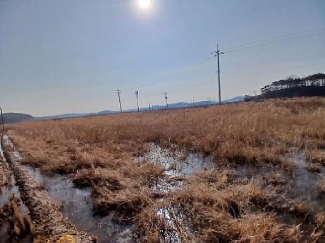 B000285202401300616583.jpg