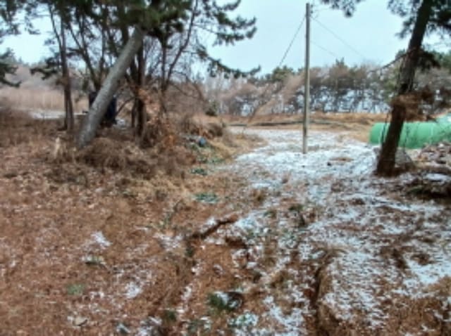 B000285202401300617571.jpg