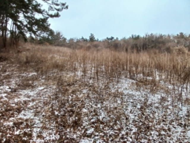 B000285202401300617573.jpg