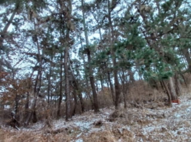 B000285202401300617574.jpg
