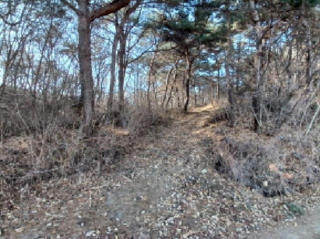 B000285202501300000874.jpg