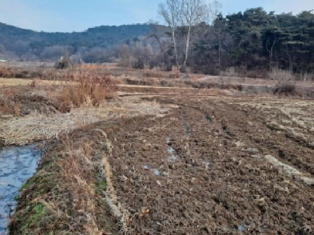 B000285202501300000943.jpg