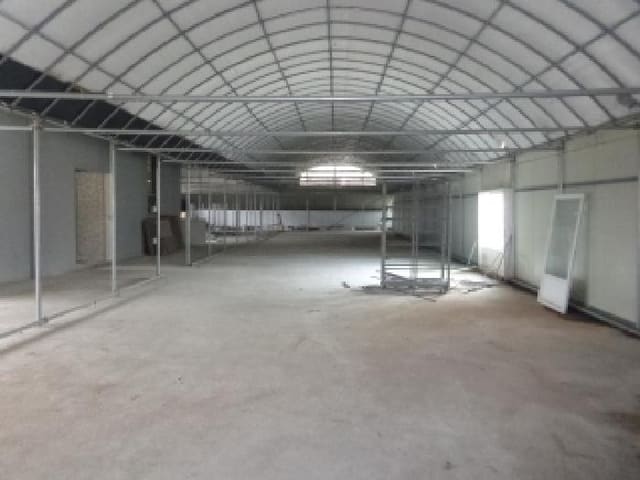 B000285202501300001794.jpg
