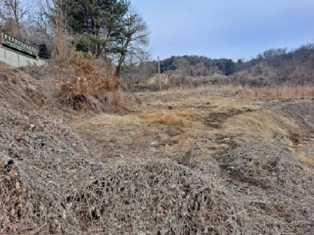 B000285202501300002164.jpg