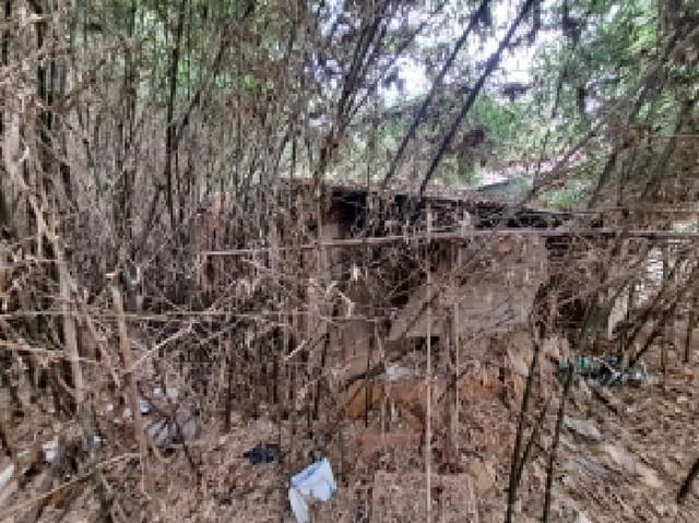 B000285202501300002544.jpg
