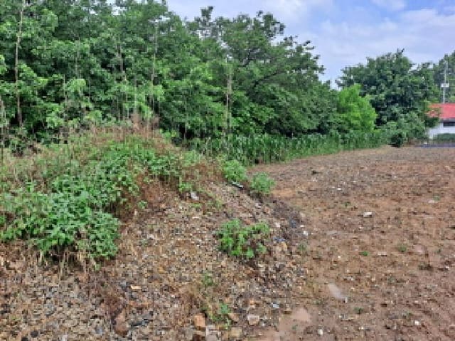 B000285202501300005011.jpg