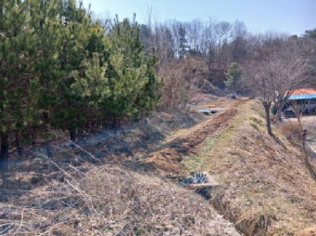 B000285202501300005604.jpg