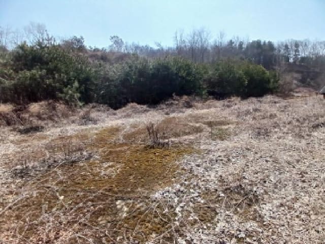 B000285202501300005603.jpg