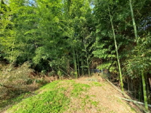 B000285202501300005813.jpg