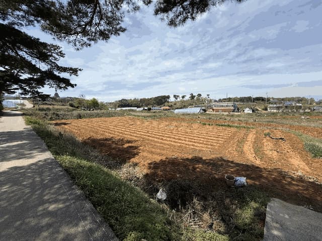 B000285202501300005994.jpg