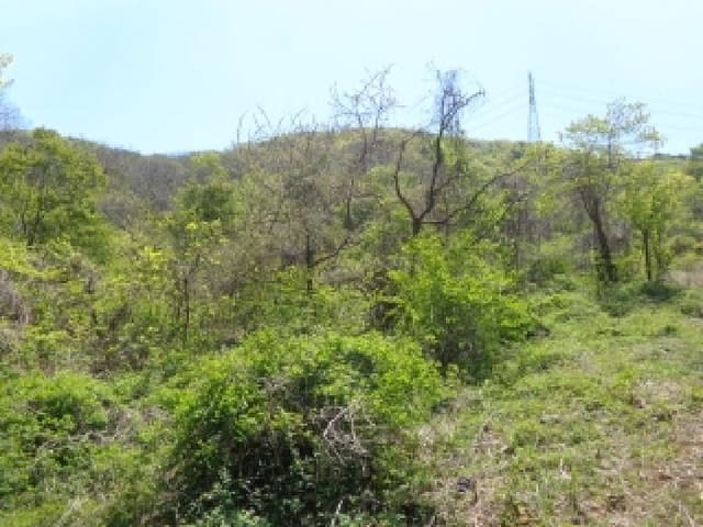 B000285202501300006013.jpg