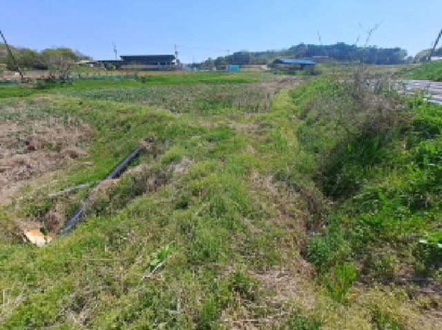 B000285202501300006082.jpg