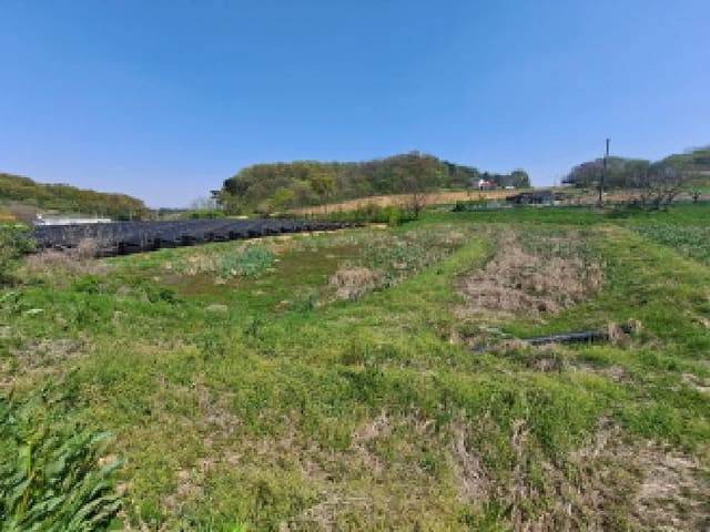 B000285202501300006084.jpg